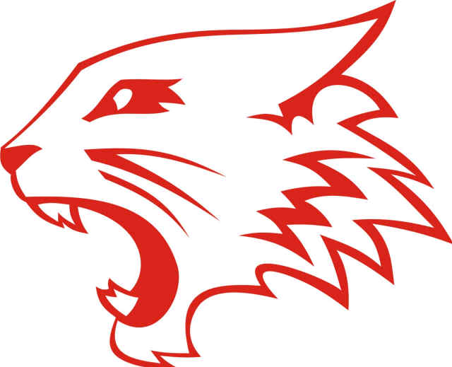 Fun with the new secondary Wildcat logo | Kentucky Sports Radio