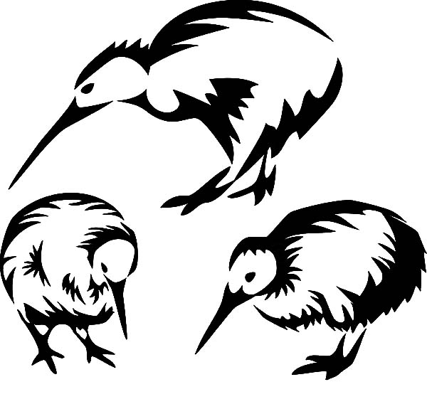 Drawing Kiwi Bird Coloring Pages: Drawing Kiwi Bird Coloring Pages ...
