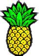 pineapple.jpg