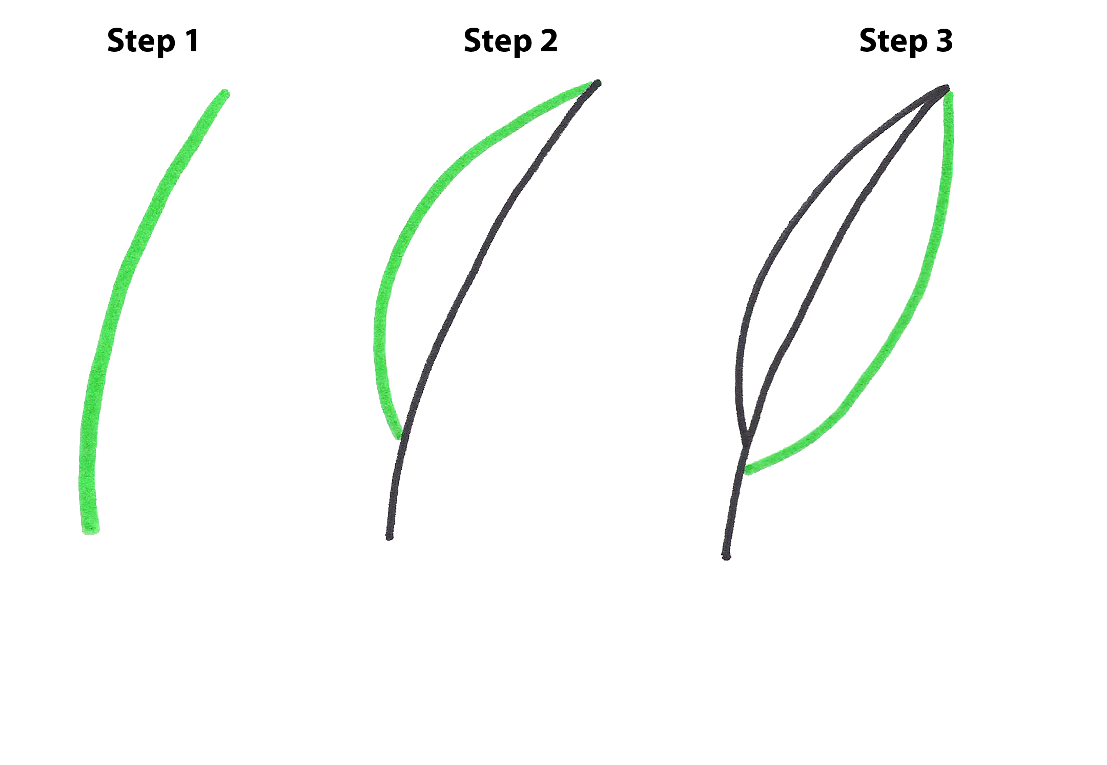 How to Draw Simple Leaves (Step-by-Step) : Art and Joy