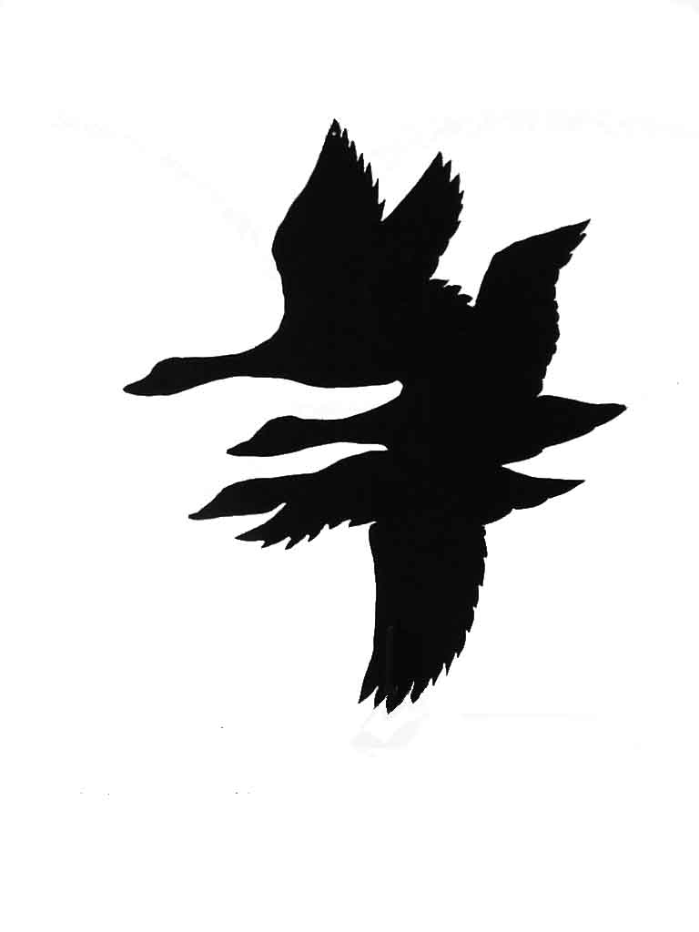 Trout Silhouette Clipart
