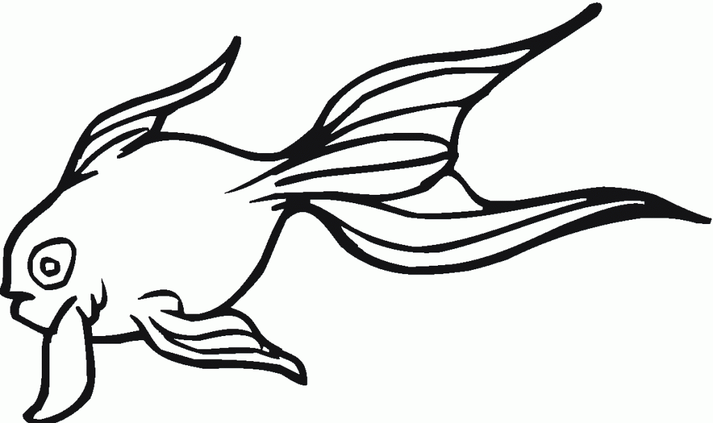 Goldfish Images