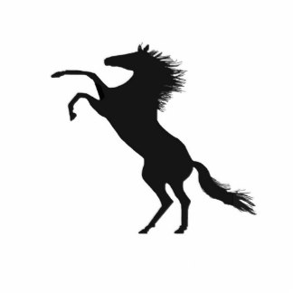 Black Horse Photo Statuettes, Cutouts & Sculptures | Zazzle