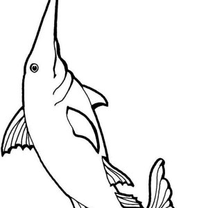 Swordfish Coloring Page for Kids | Color Luna