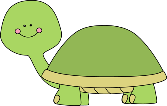 Turtles Images Free
