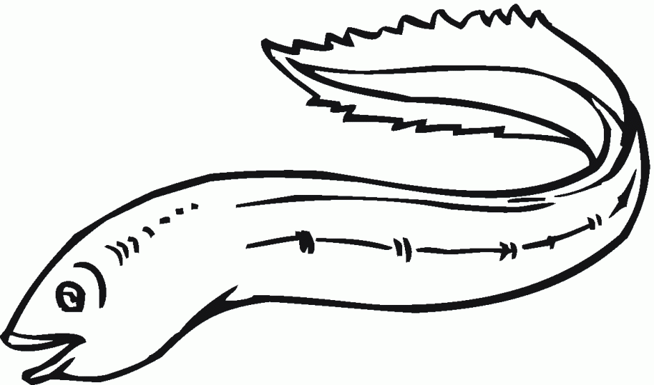 Cartoon Eel