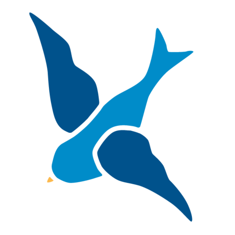 Bird Wall Stencil for Kids Mural or Baby Nursery