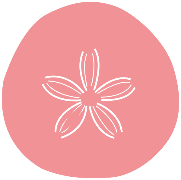 Sand Dollar Clipart - The Cliparts