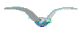 seagullsm.gif