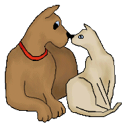Dogs and Cats Together Page 7 - Dogs and Cats Touching Noses 2 ...