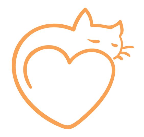 Cute cats, Kittens and Patterns