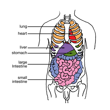 Yoga: Art+Science | Blog