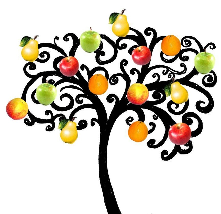Picture Of Apple Trees | Free Download Clip Art | Free Clip Art ...