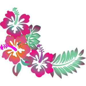 1000+ images about HAWAIIAN HIBISCUS | Vintage style ...