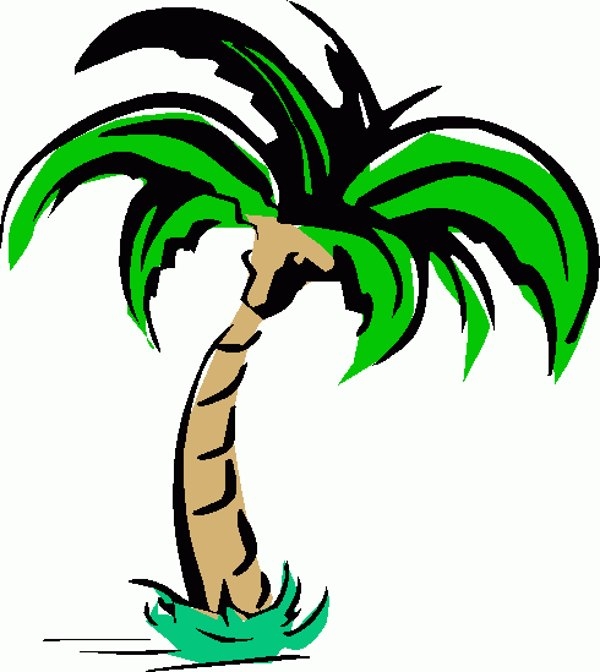 Free Clipart Palm Tree