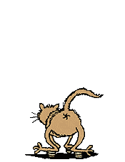 free Cats Animated Gif - Cats clipart - Cats graphics - Page 17