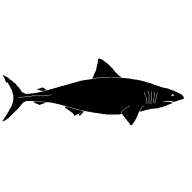 Animal stencils