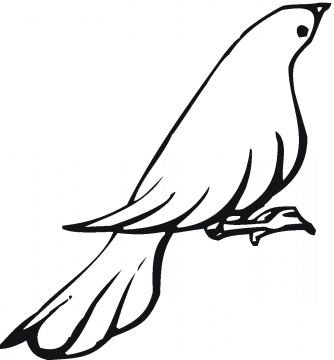 Doves coloring pages | Super Coloring