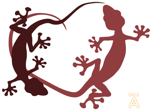 I heart geckos! | Armin Hinterwirth