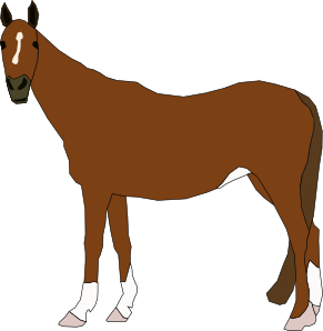 Cartoon Horses Images - ClipArt Best