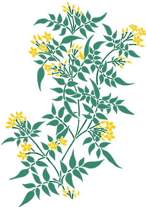 Flower Stencil Designs from Stencil Kingdom