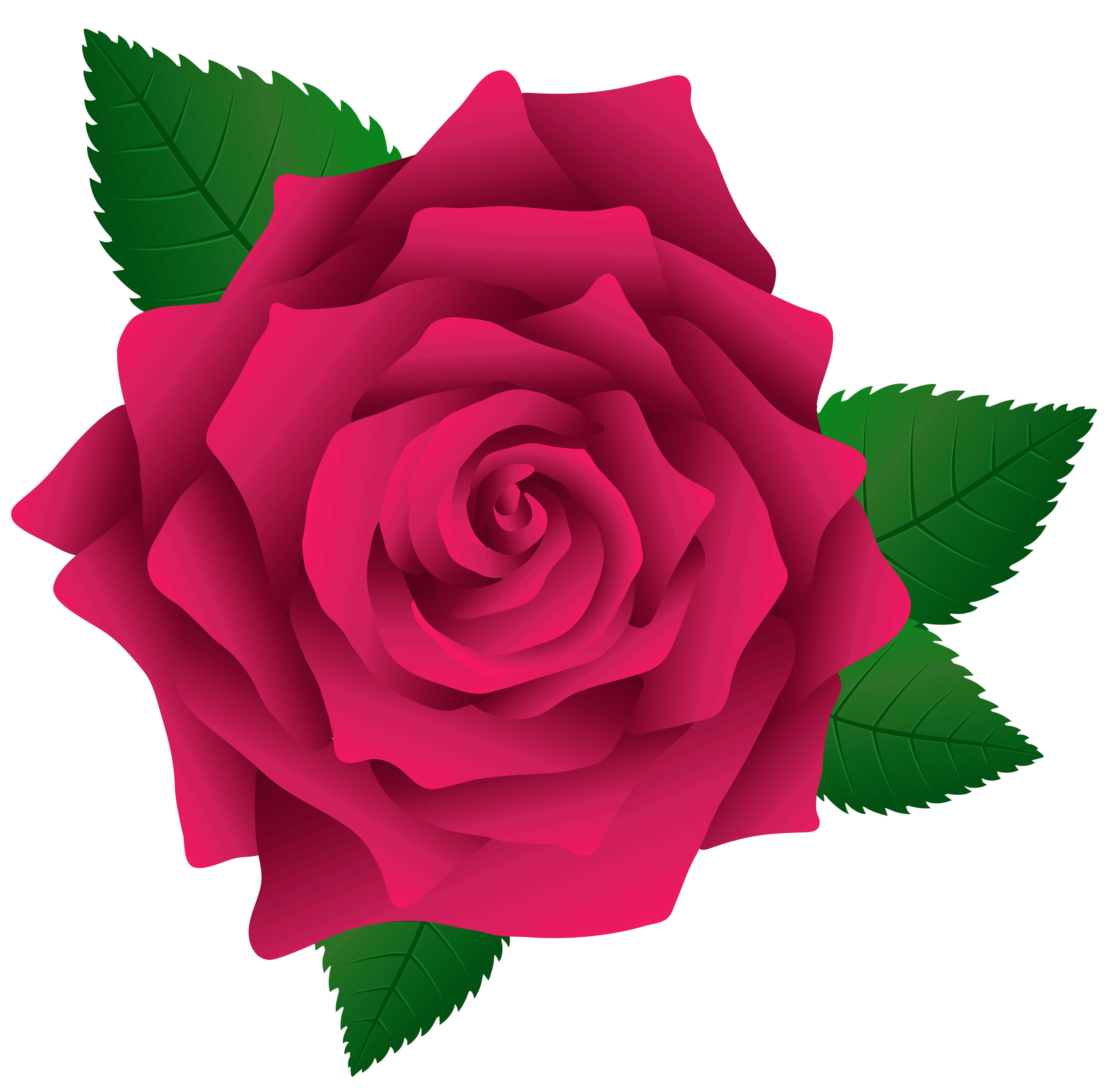 Pink Rose PNG Image Clipart