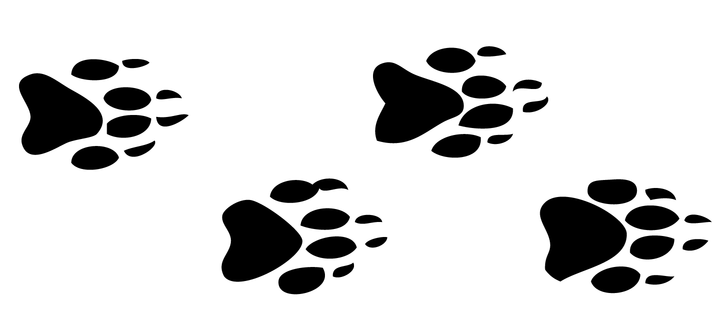 Animal Footprints Clipart