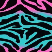 Zebra Print Color Pink Purple Blue Pictures, Images & Photos ...