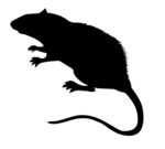 Rat Clip Art Free - Free Clipart Images