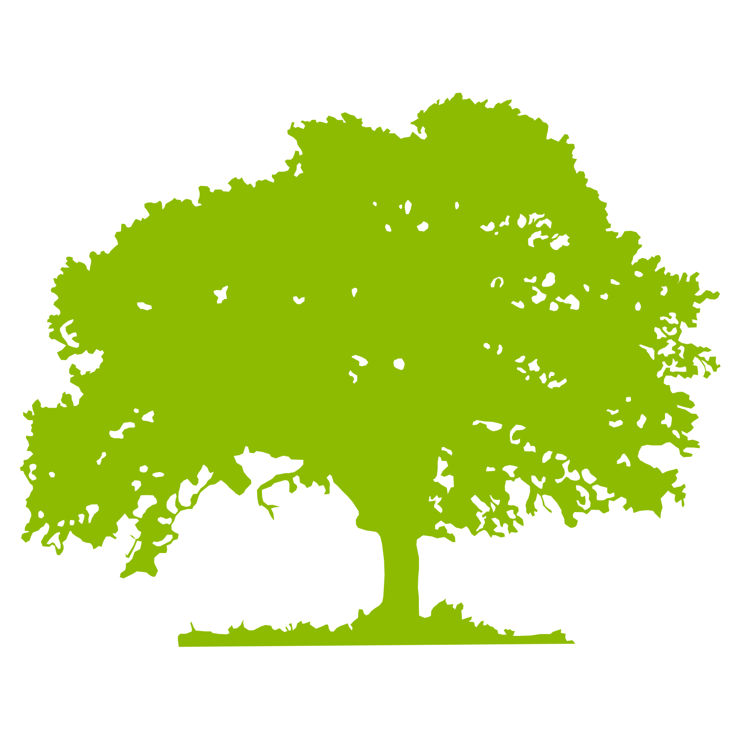 Oak Tree Vector Free Download - Free Clipart Images
