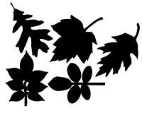 Free svg files to try | 337 Pins