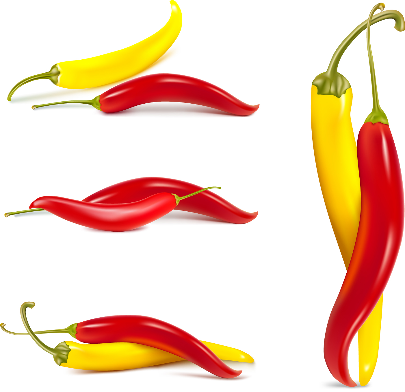Fine chili peppers vector Free Vector / 4Vector