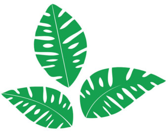 Jungle Leaf Template
