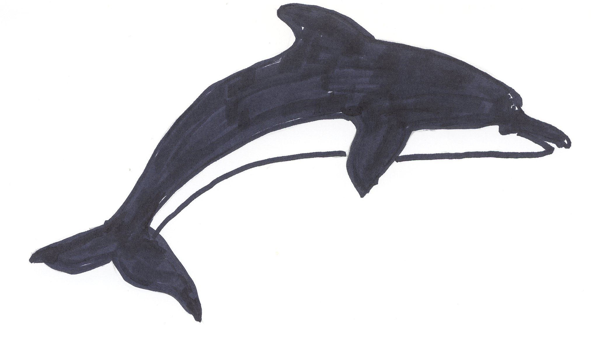 Derby 1992 KSOTA Dolphin | Flickr - Photo Sharing!
