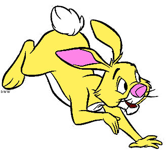 Rabbit