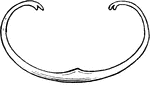 Ancient Greece | ClipArt ETC