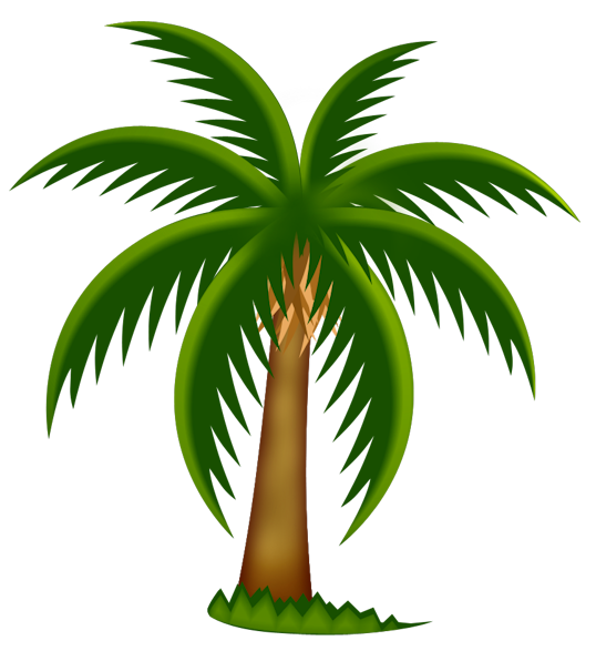 palm tree branches