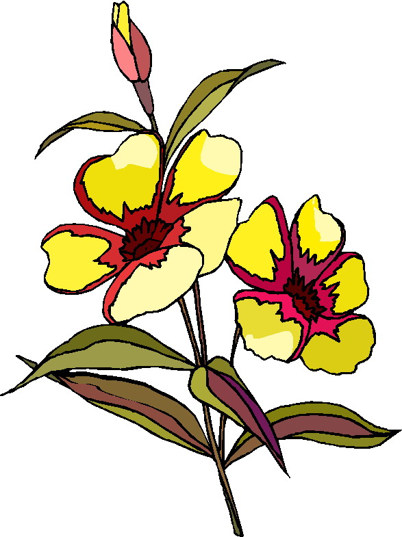 Plants Clip Art