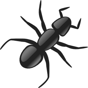 Ant clip art - vector clip art online, royalty free & public domain