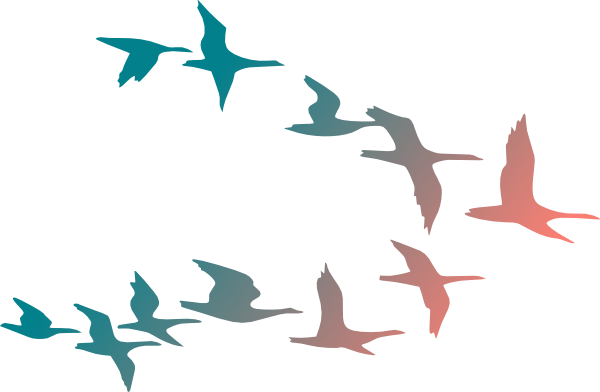 Cartoon Pictures Of Birds Flying