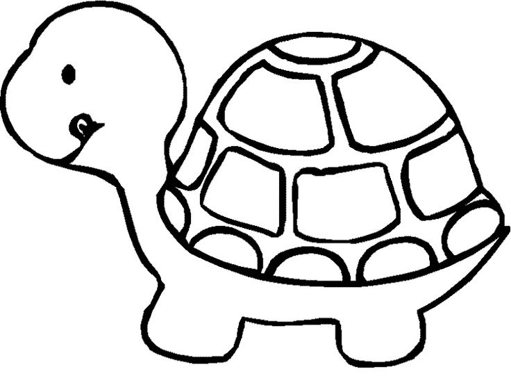 Turtle Templates - ClipArt Best