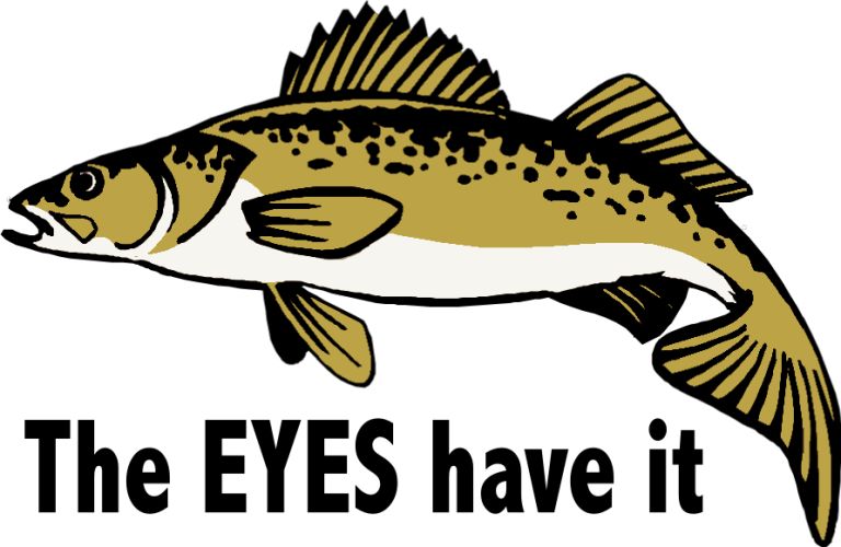 Walleye Clipart | Free Download Clip Art | Free Clip Art | on ...