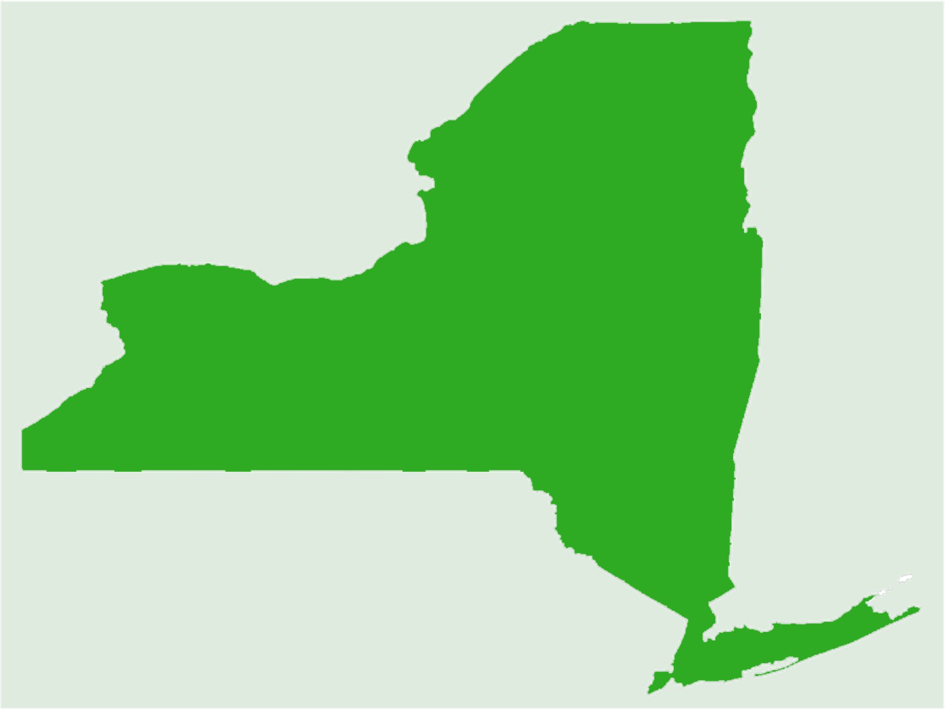 NYS Outline | Timbits