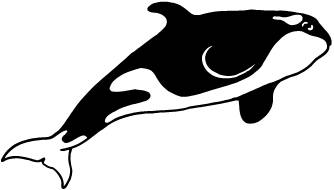 Orca Clipart | Free Download Clip Art | Free Clip Art | on Clipart ...