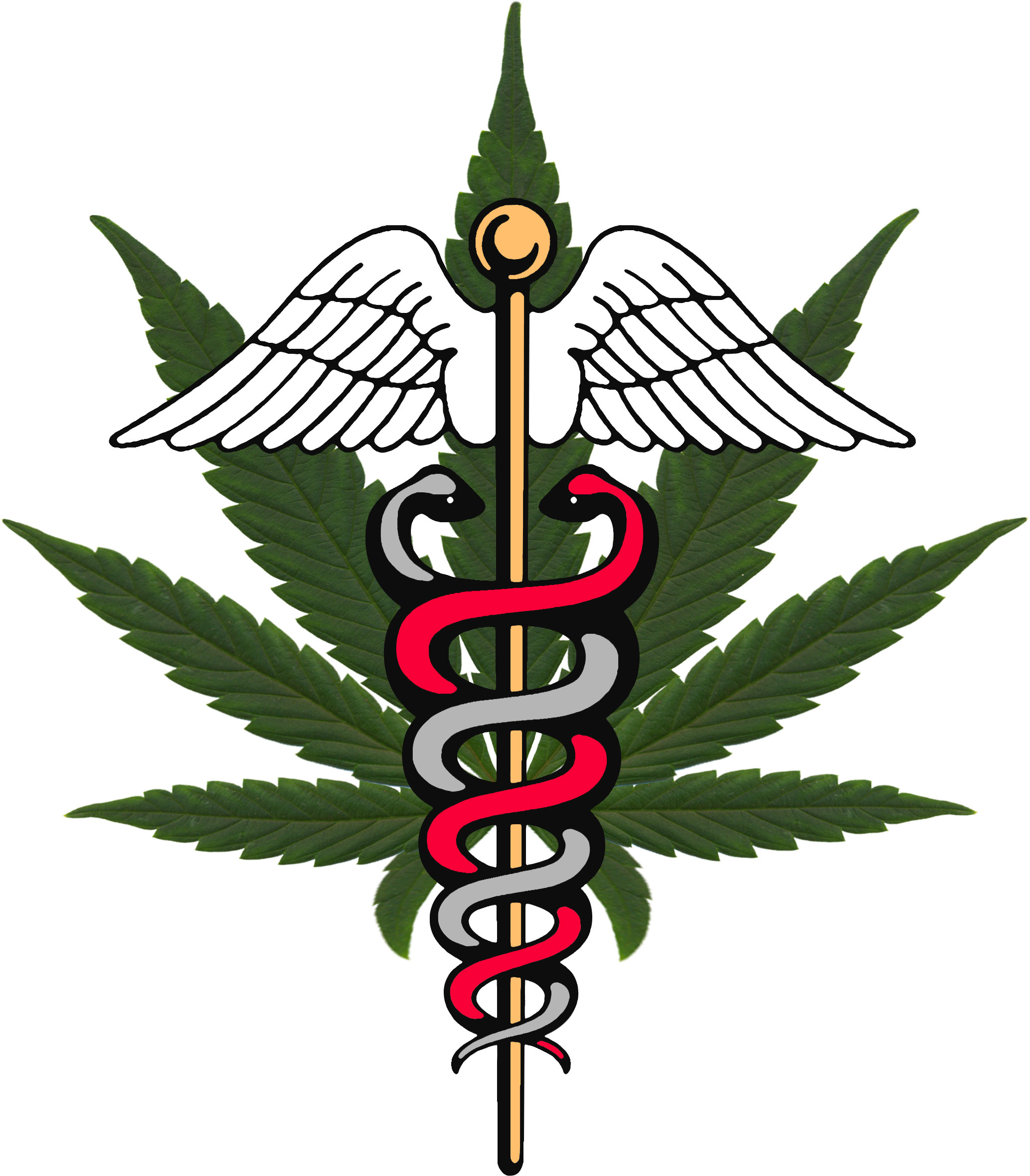 MARIJUANA POLITICS - The News Source For an Informed Citizenry