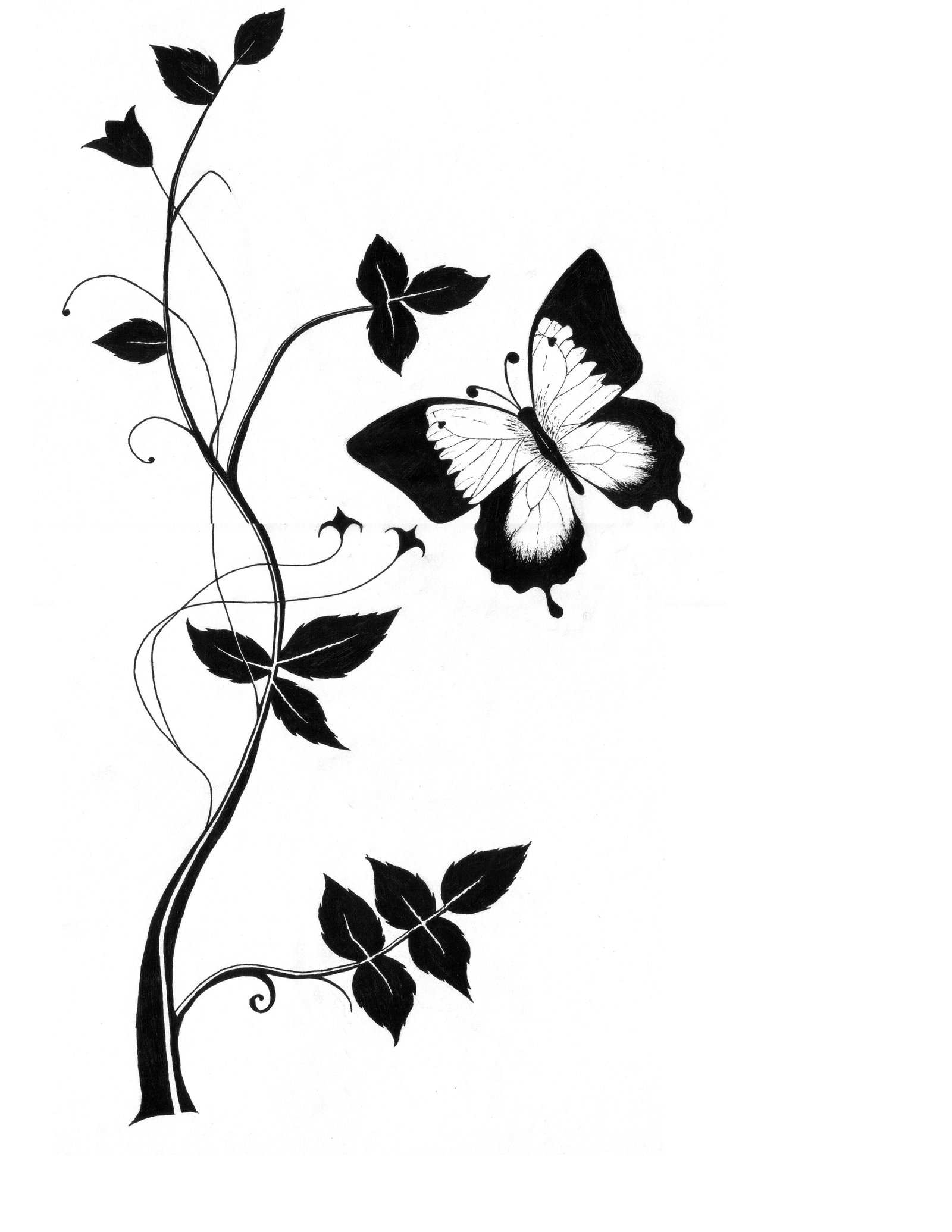Cute Butterfly Line Drawing