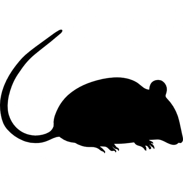 Rat silhouette Icons | Free Download
