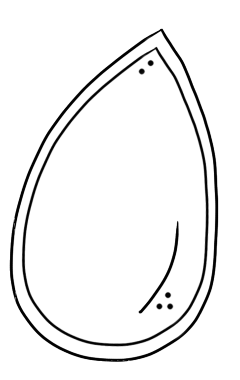 Black and white pumpkin seed clipart