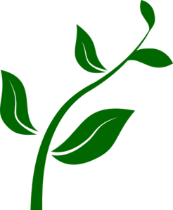 Growing Plant Clipart - Free Clipart Images