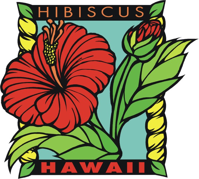 Cartoon Hibiscus - ClipArt Best
